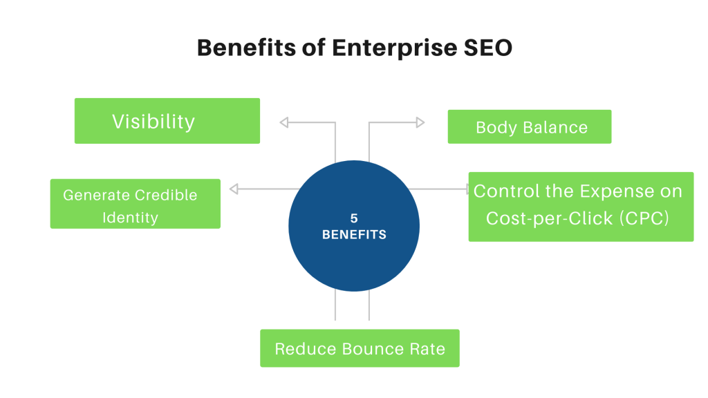 Enterprise-SEO services, pic 4
