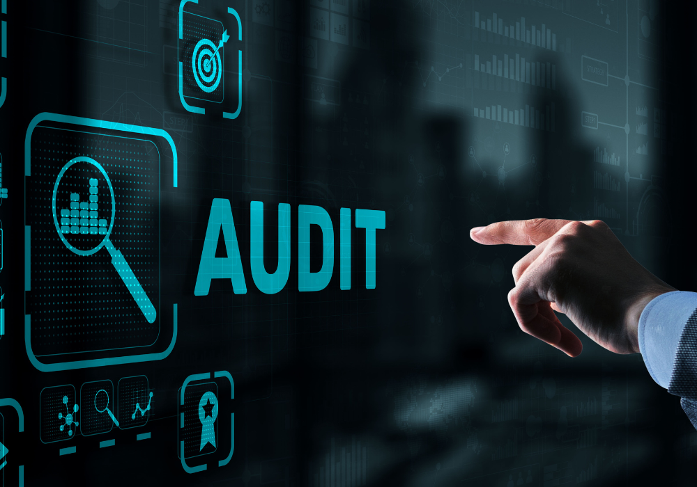 Website audit services, pic 2