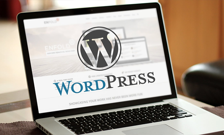 WordPress-website-design-and-development pic 2